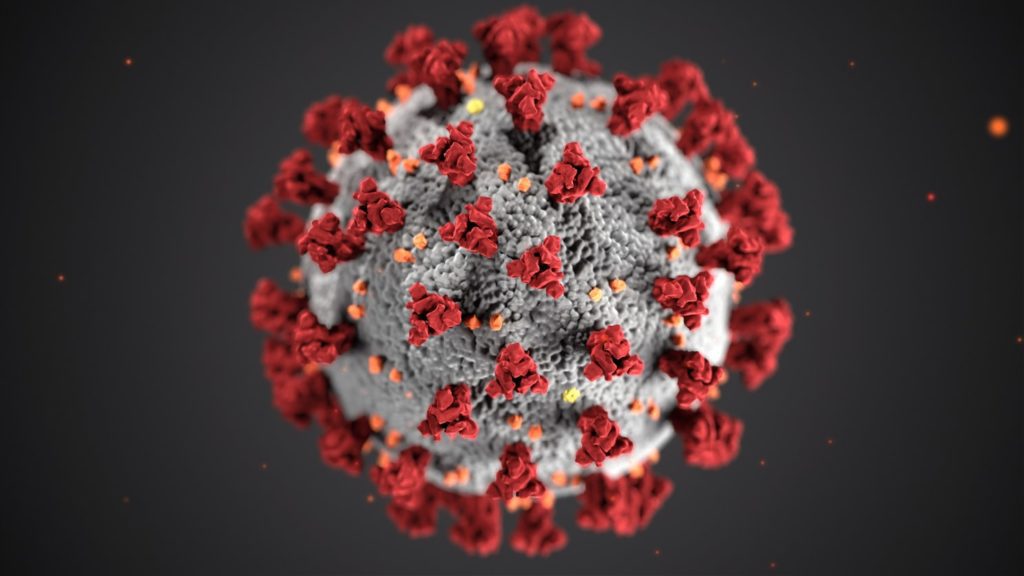 Coronavirus up (really) close - image from the CDC