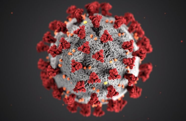 Coronavirus up (really) close - image from the CDC